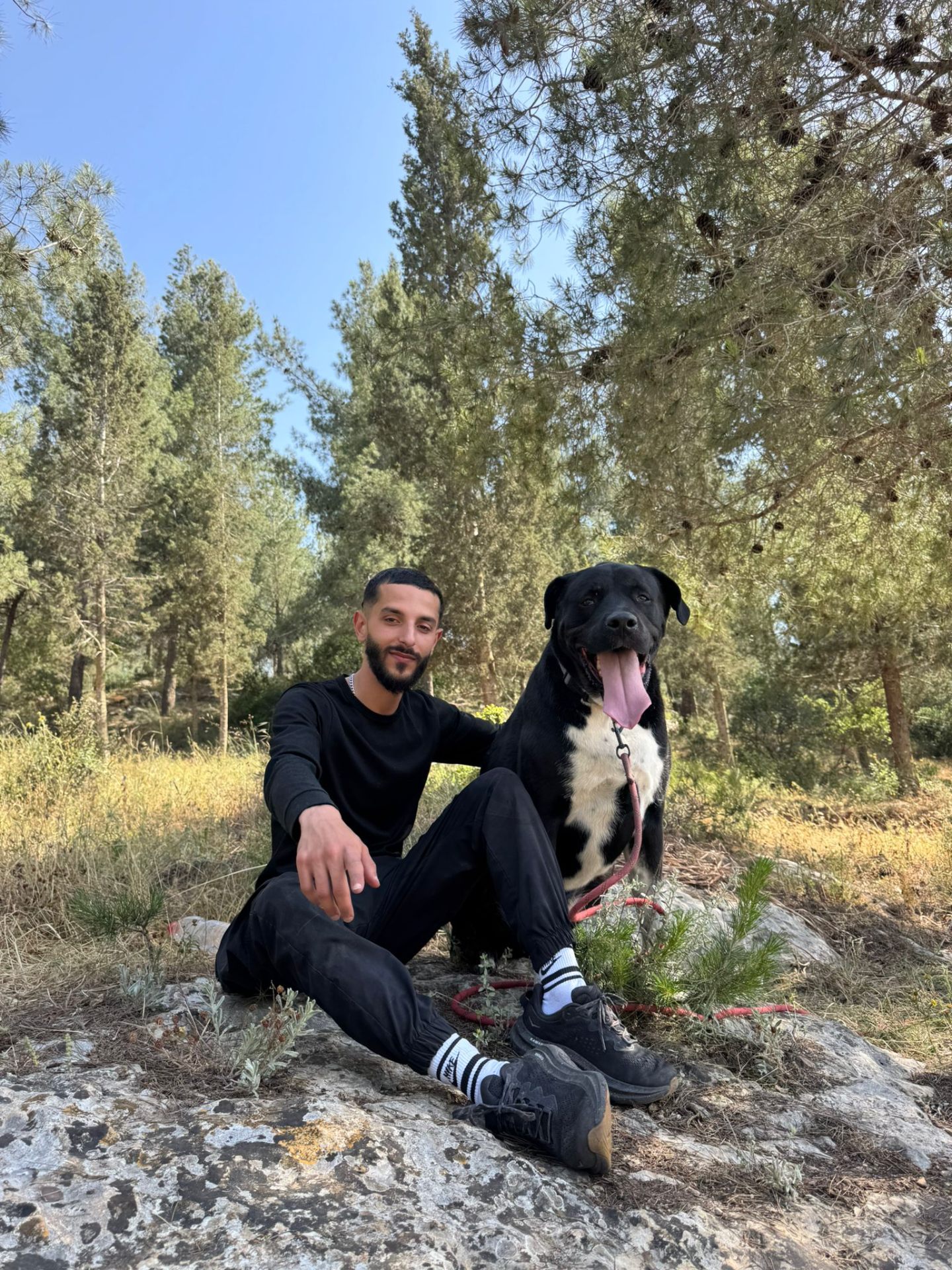 ליאל ווינברג — אילוף · התנהגות כלבים